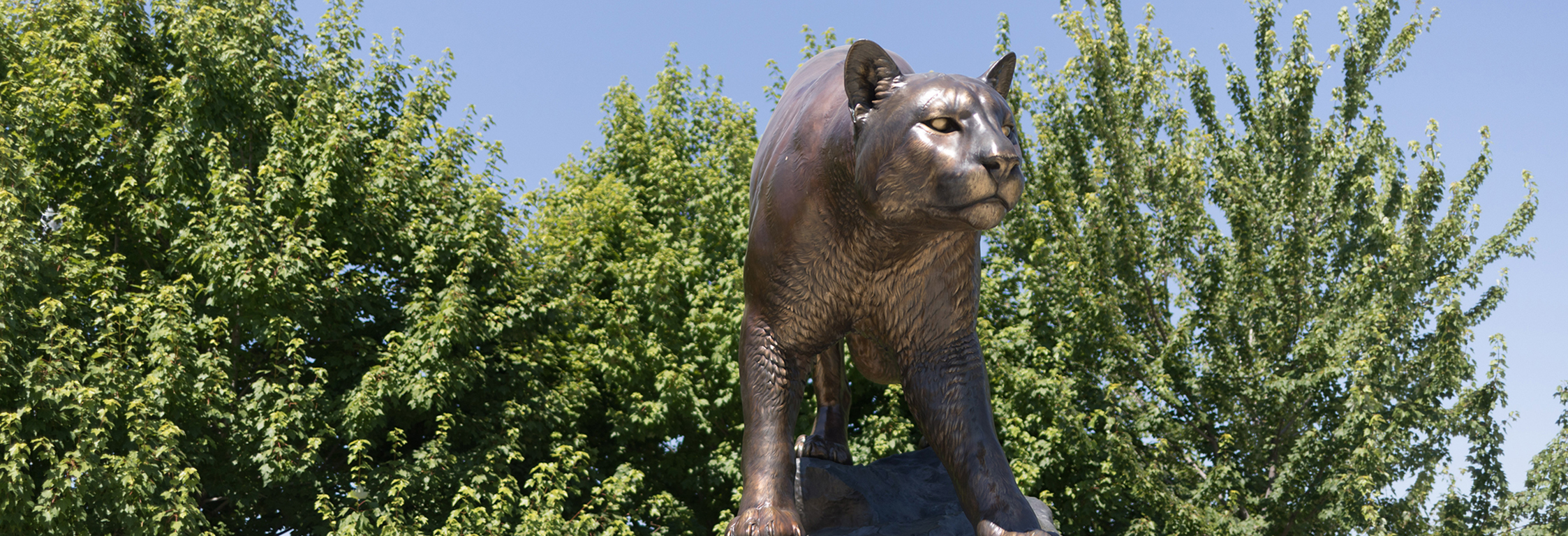 A photo of a Cougar Statue on the WSU Pullman campus.